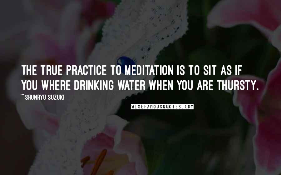 Shunryu Suzuki Quotes: The true practice to meditation is to sit as if you where drinking water when you are thursty.