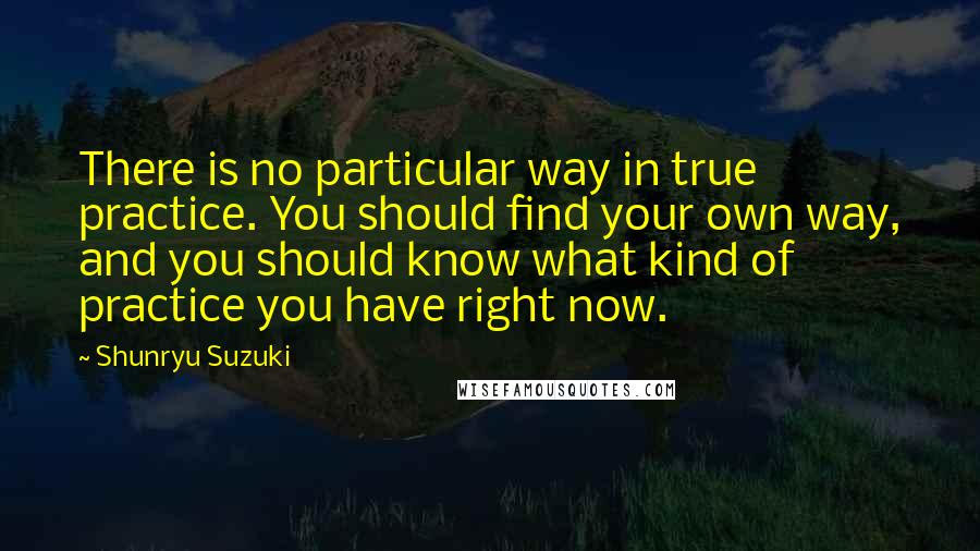 Shunryu Suzuki Quotes: There is no particular way in true practice. You should find your own way, and you should know what kind of practice you have right now.