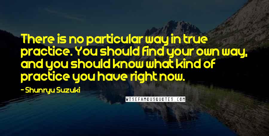 Shunryu Suzuki Quotes: There is no particular way in true practice. You should find your own way, and you should know what kind of practice you have right now.