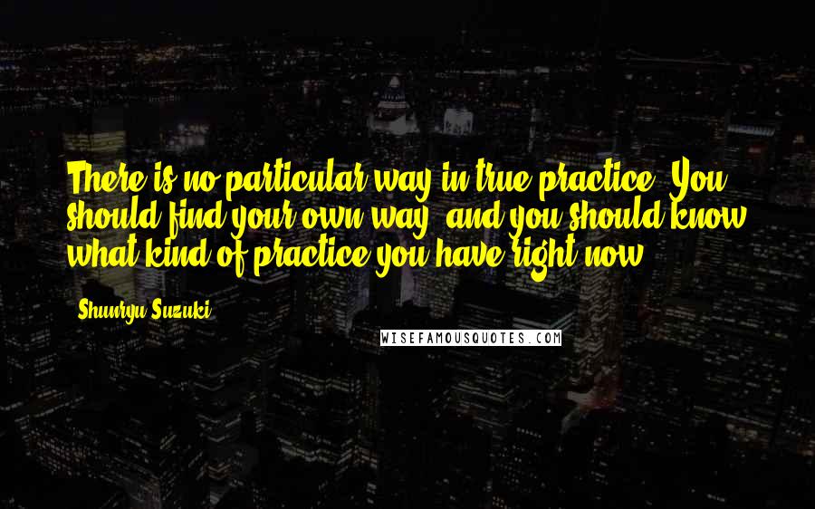 Shunryu Suzuki Quotes: There is no particular way in true practice. You should find your own way, and you should know what kind of practice you have right now.