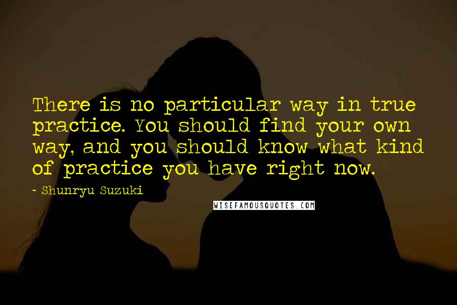 Shunryu Suzuki Quotes: There is no particular way in true practice. You should find your own way, and you should know what kind of practice you have right now.