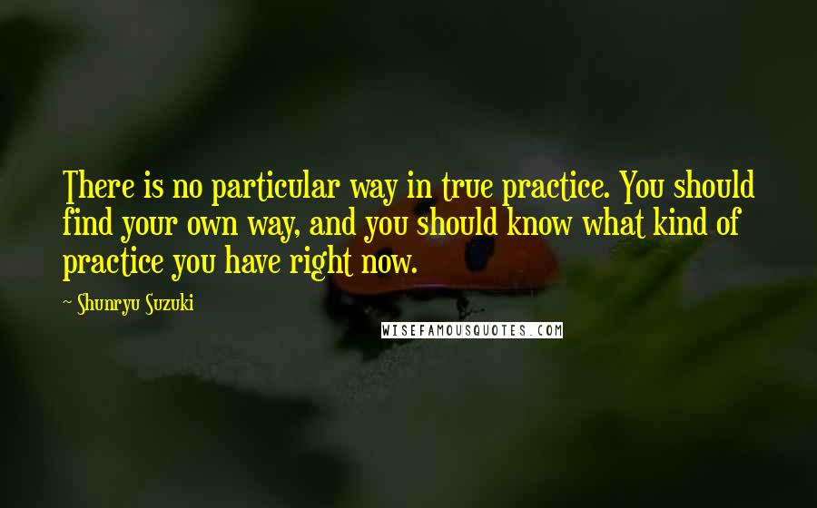 Shunryu Suzuki Quotes: There is no particular way in true practice. You should find your own way, and you should know what kind of practice you have right now.