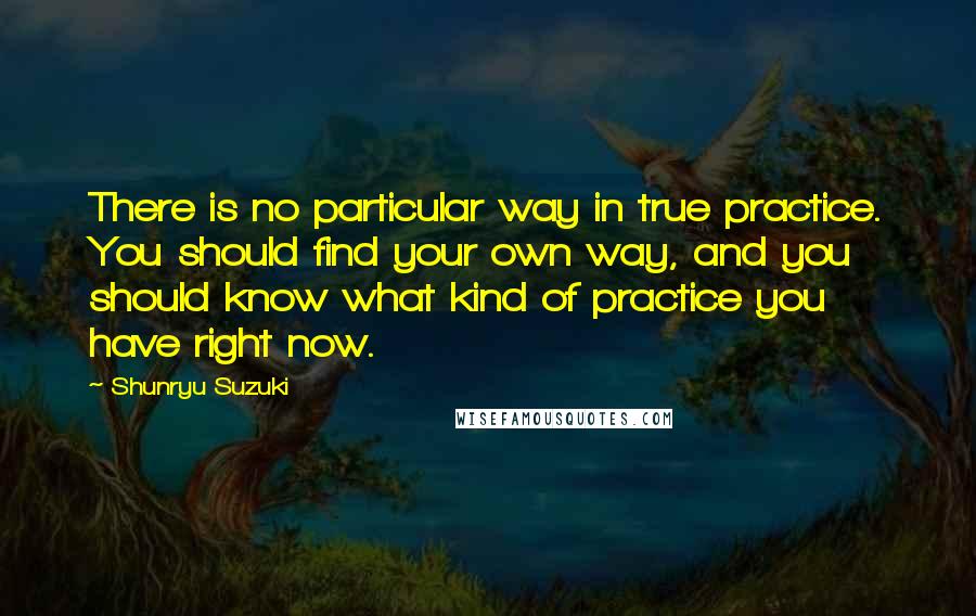 Shunryu Suzuki Quotes: There is no particular way in true practice. You should find your own way, and you should know what kind of practice you have right now.