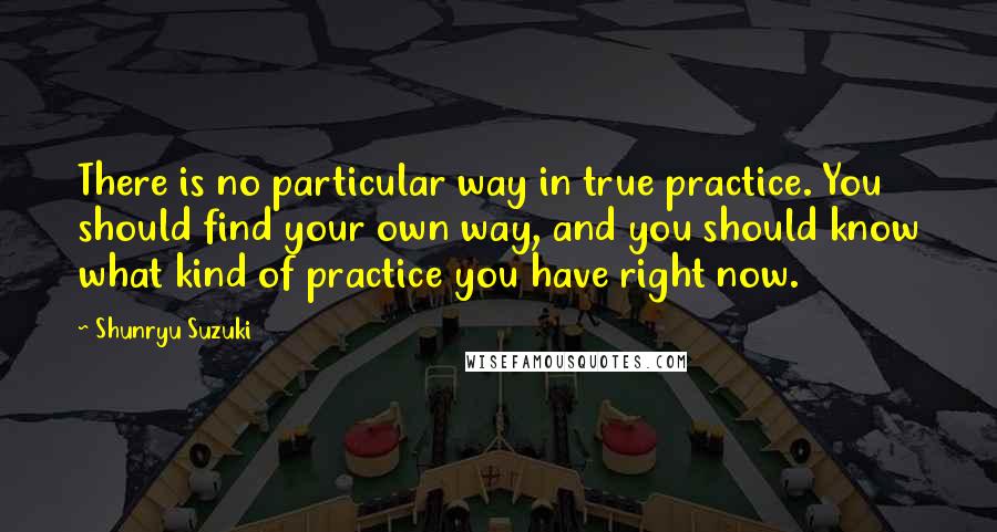 Shunryu Suzuki Quotes: There is no particular way in true practice. You should find your own way, and you should know what kind of practice you have right now.