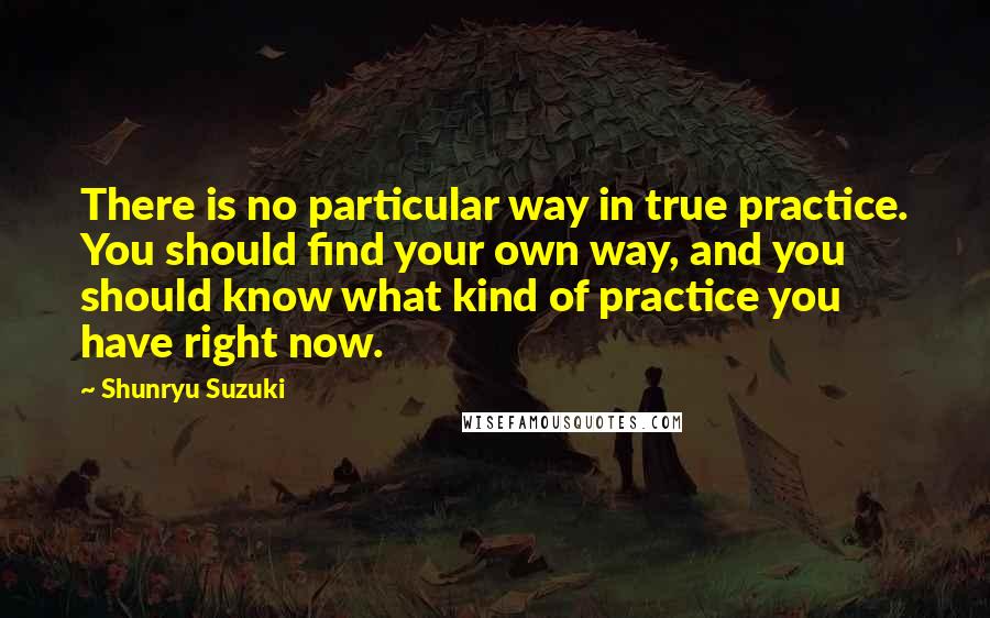 Shunryu Suzuki Quotes: There is no particular way in true practice. You should find your own way, and you should know what kind of practice you have right now.