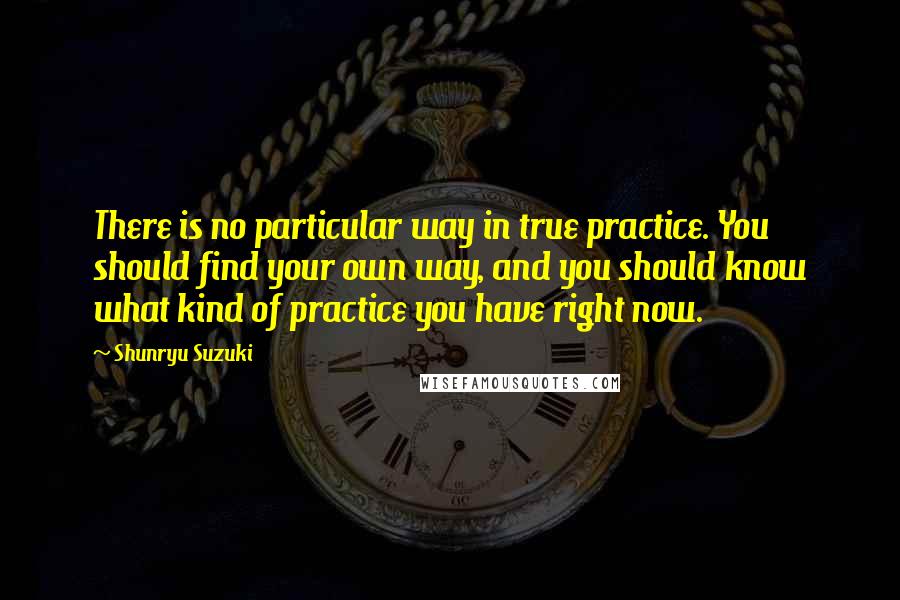 Shunryu Suzuki Quotes: There is no particular way in true practice. You should find your own way, and you should know what kind of practice you have right now.