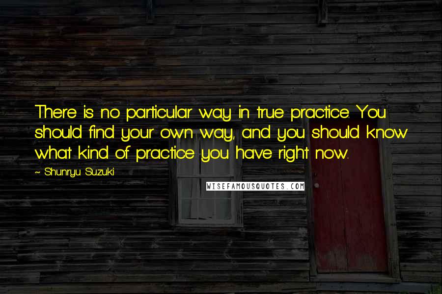 Shunryu Suzuki Quotes: There is no particular way in true practice. You should find your own way, and you should know what kind of practice you have right now.