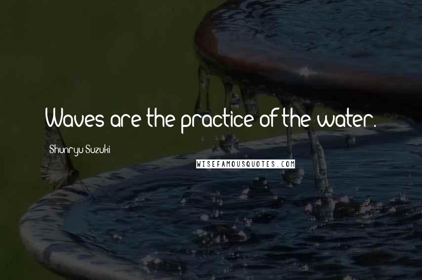 Shunryu Suzuki Quotes: Waves are the practice of the water.