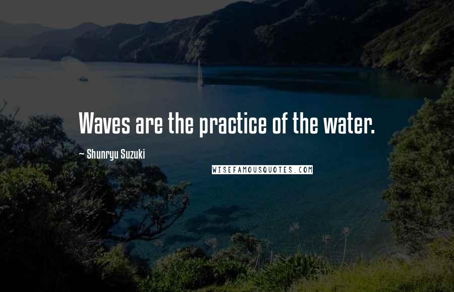 Shunryu Suzuki Quotes: Waves are the practice of the water.