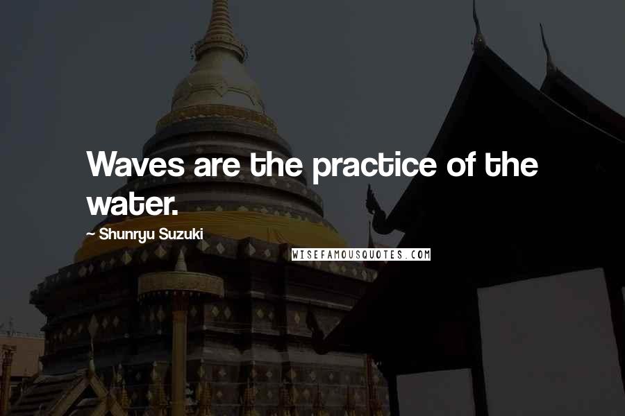 Shunryu Suzuki Quotes: Waves are the practice of the water.