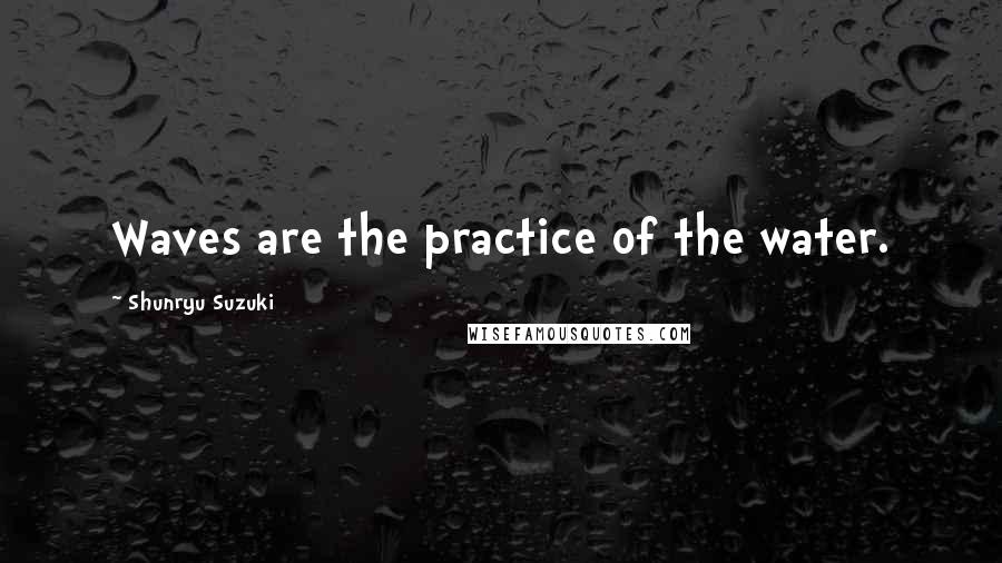 Shunryu Suzuki Quotes: Waves are the practice of the water.