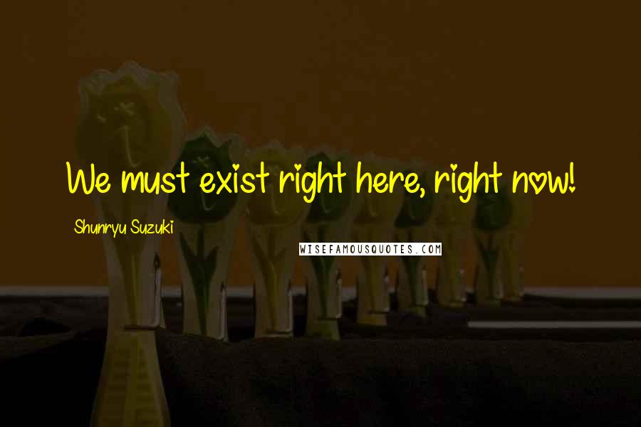 Shunryu Suzuki Quotes: We must exist right here, right now!