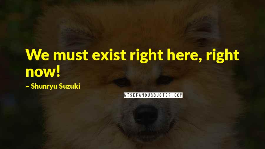 Shunryu Suzuki Quotes: We must exist right here, right now!