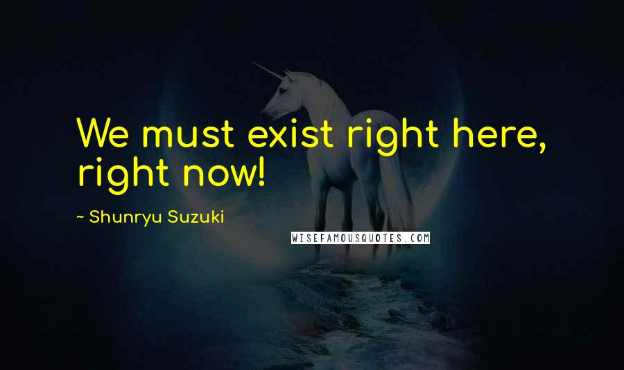 Shunryu Suzuki Quotes: We must exist right here, right now!