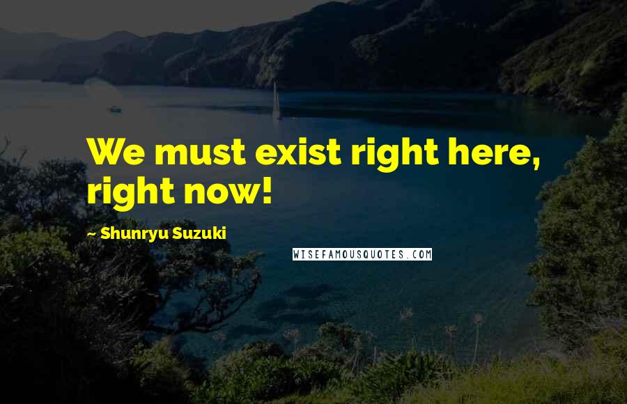 Shunryu Suzuki Quotes: We must exist right here, right now!