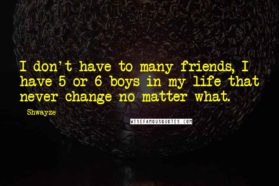 Shwayze Quotes: I don't have to many friends, I have 5 or 6 boys in my life that never change no matter what.