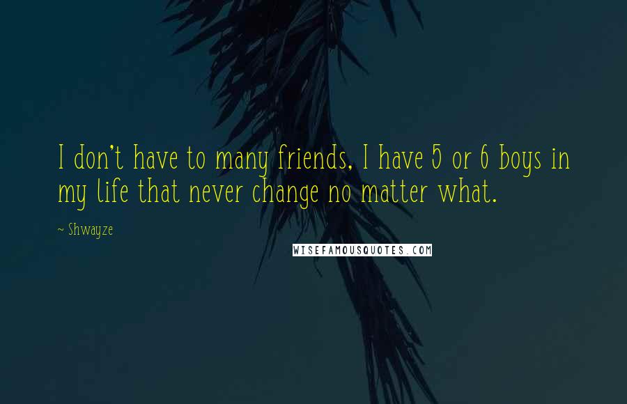 Shwayze Quotes: I don't have to many friends, I have 5 or 6 boys in my life that never change no matter what.