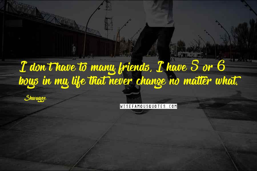 Shwayze Quotes: I don't have to many friends, I have 5 or 6 boys in my life that never change no matter what.