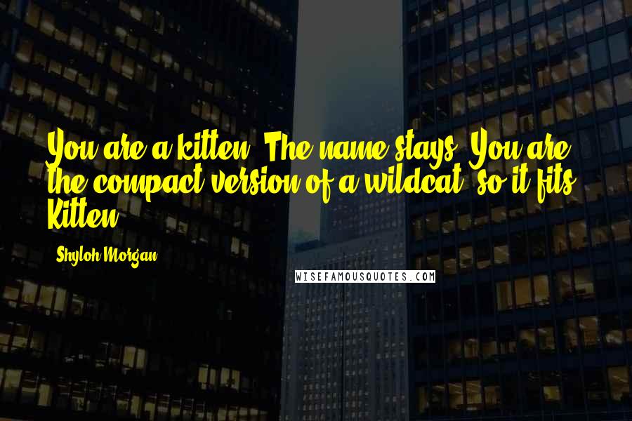 Shyloh Morgan Quotes: You are a kitten. The name stays. You are the compact version of a wildcat, so it fits. Kitten.