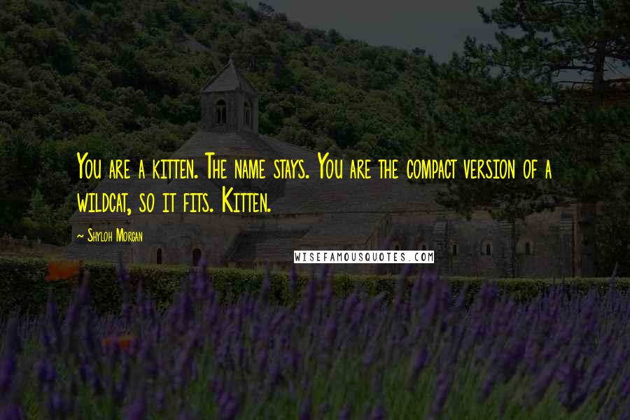 Shyloh Morgan Quotes: You are a kitten. The name stays. You are the compact version of a wildcat, so it fits. Kitten.
