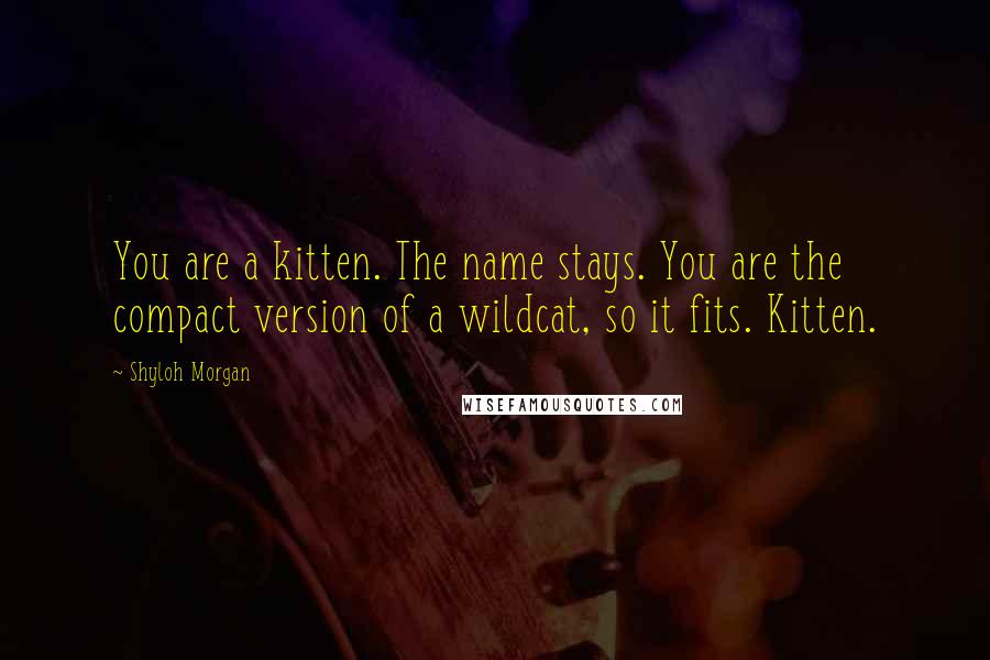 Shyloh Morgan Quotes: You are a kitten. The name stays. You are the compact version of a wildcat, so it fits. Kitten.