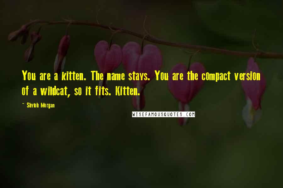 Shyloh Morgan Quotes: You are a kitten. The name stays. You are the compact version of a wildcat, so it fits. Kitten.