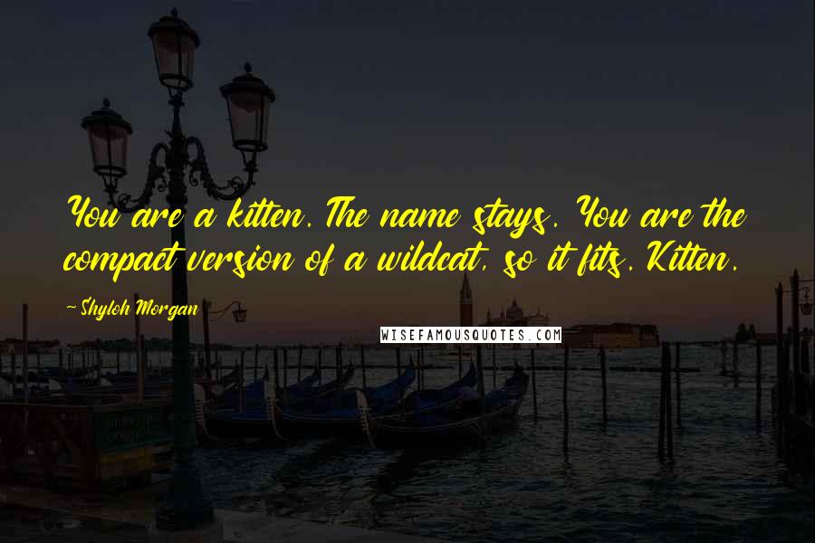 Shyloh Morgan Quotes: You are a kitten. The name stays. You are the compact version of a wildcat, so it fits. Kitten.