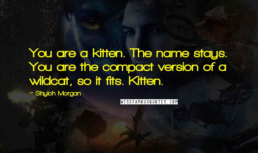Shyloh Morgan Quotes: You are a kitten. The name stays. You are the compact version of a wildcat, so it fits. Kitten.