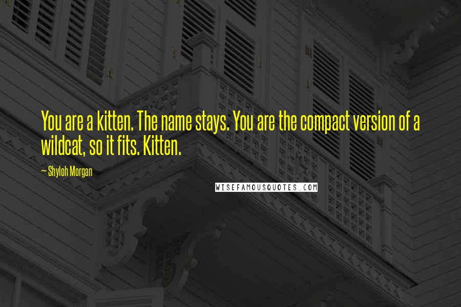 Shyloh Morgan Quotes: You are a kitten. The name stays. You are the compact version of a wildcat, so it fits. Kitten.