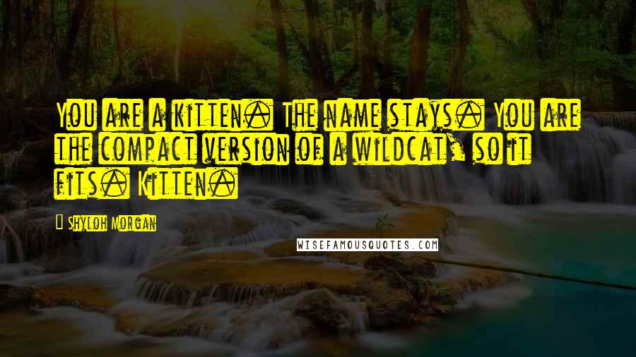 Shyloh Morgan Quotes: You are a kitten. The name stays. You are the compact version of a wildcat, so it fits. Kitten.