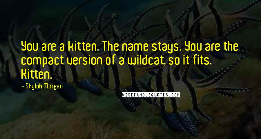 Shyloh Morgan Quotes: You are a kitten. The name stays. You are the compact version of a wildcat, so it fits. Kitten.