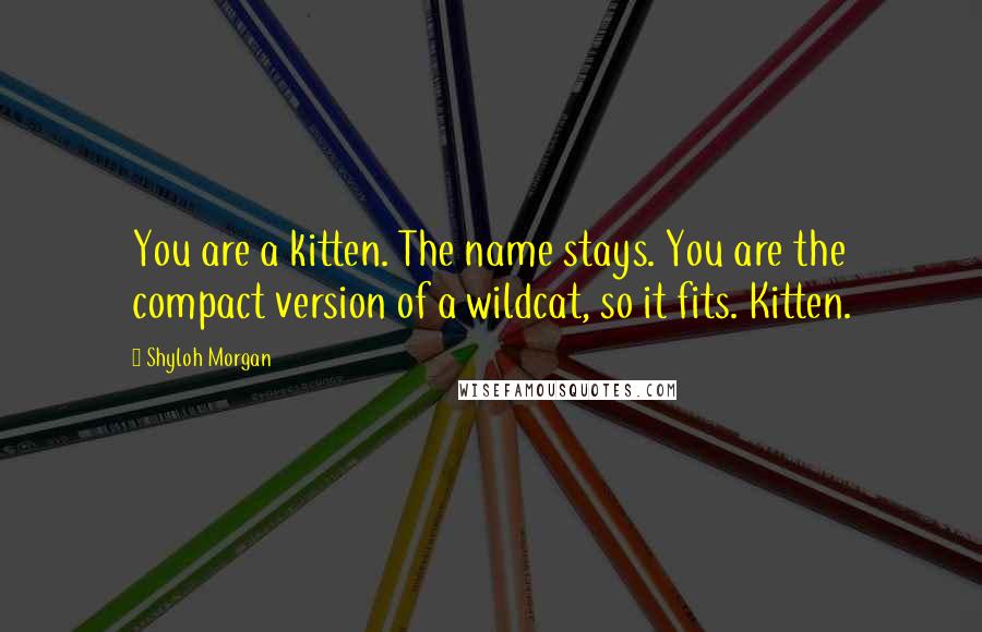 Shyloh Morgan Quotes: You are a kitten. The name stays. You are the compact version of a wildcat, so it fits. Kitten.