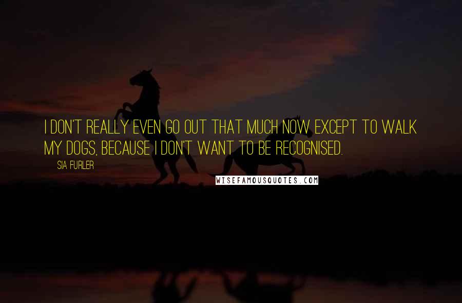 Sia Furler Quotes: I don't really even go out that much now except to walk my dogs, because I don't want to be recognised.