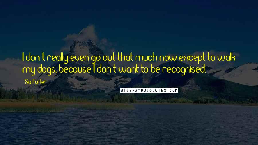 Sia Furler Quotes: I don't really even go out that much now except to walk my dogs, because I don't want to be recognised.