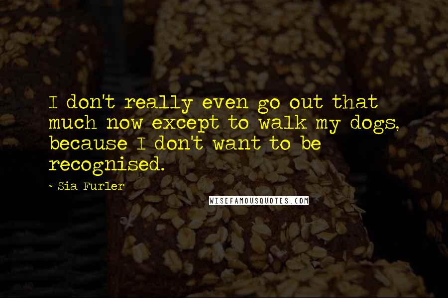 Sia Furler Quotes: I don't really even go out that much now except to walk my dogs, because I don't want to be recognised.