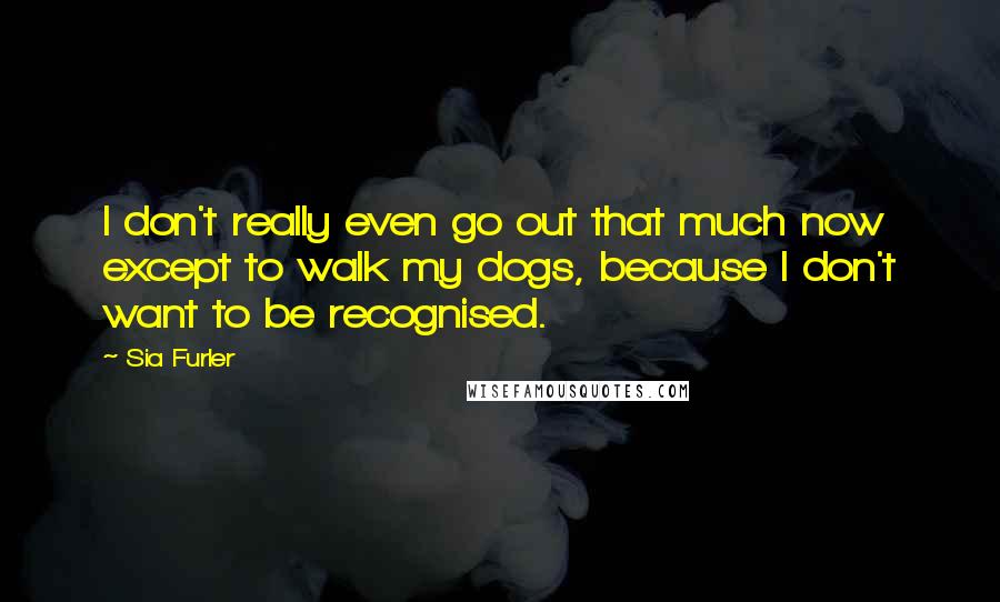 Sia Furler Quotes: I don't really even go out that much now except to walk my dogs, because I don't want to be recognised.