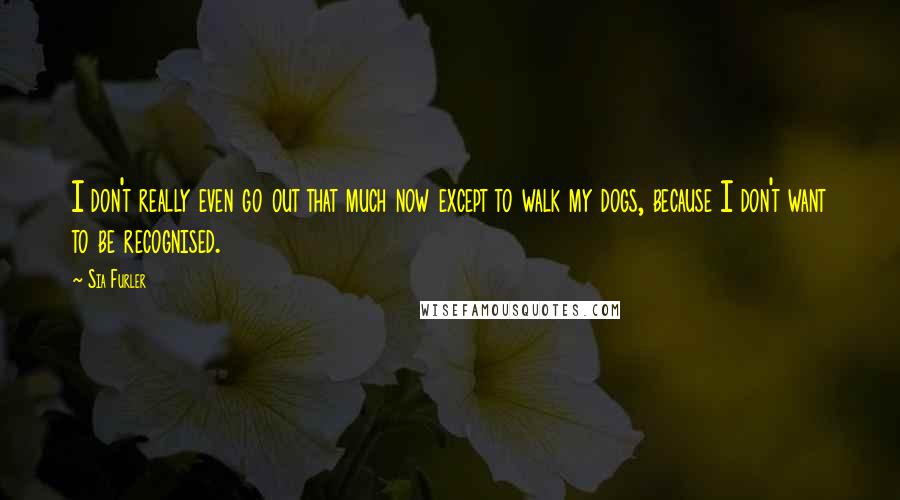 Sia Furler Quotes: I don't really even go out that much now except to walk my dogs, because I don't want to be recognised.