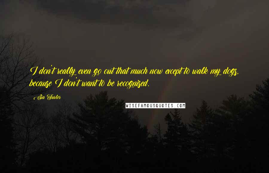 Sia Furler Quotes: I don't really even go out that much now except to walk my dogs, because I don't want to be recognised.