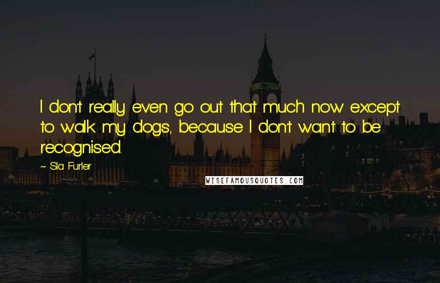 Sia Furler Quotes: I don't really even go out that much now except to walk my dogs, because I don't want to be recognised.