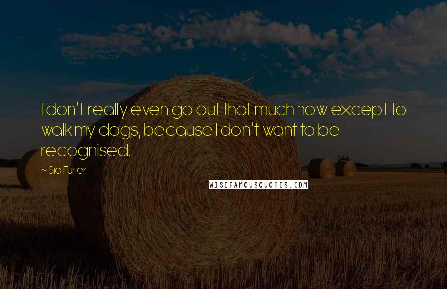 Sia Furler Quotes: I don't really even go out that much now except to walk my dogs, because I don't want to be recognised.