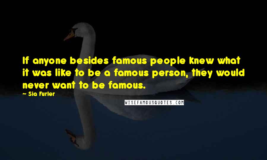 Sia Furler Quotes: If anyone besides famous people knew what it was like to be a famous person, they would never want to be famous.
