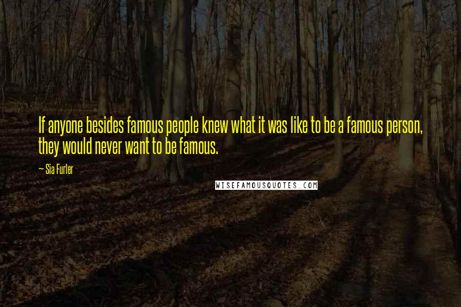 Sia Furler Quotes: If anyone besides famous people knew what it was like to be a famous person, they would never want to be famous.