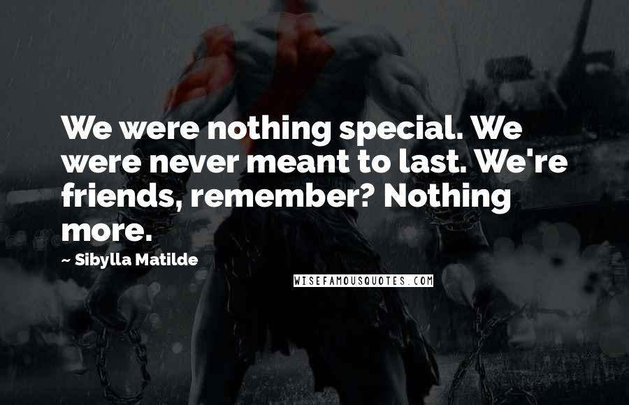 Sibylla Matilde Quotes: We were nothing special. We were never meant to last. We're friends, remember? Nothing more.