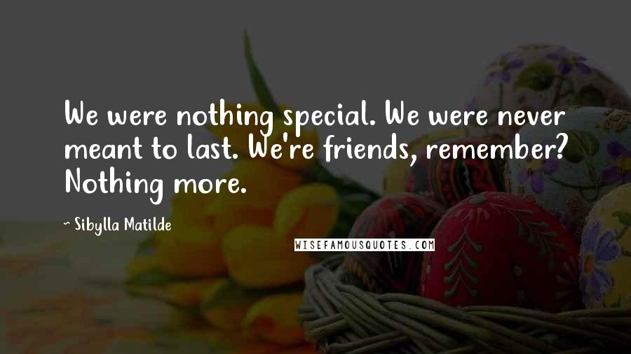 Sibylla Matilde Quotes: We were nothing special. We were never meant to last. We're friends, remember? Nothing more.