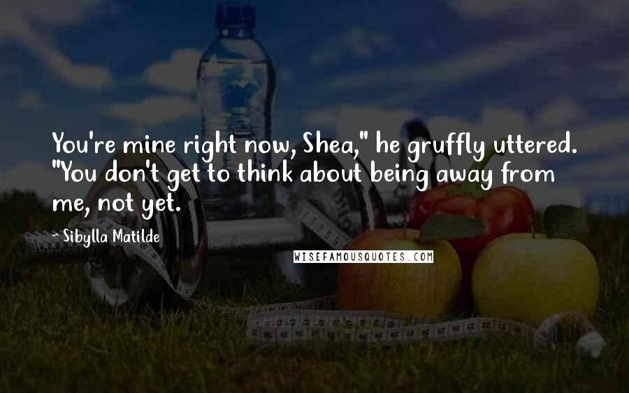 Sibylla Matilde Quotes: You're mine right now, Shea," he gruffly uttered. "You don't get to think about being away from me, not yet.