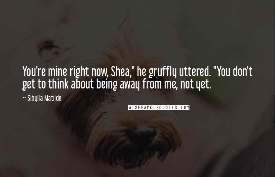 Sibylla Matilde Quotes: You're mine right now, Shea," he gruffly uttered. "You don't get to think about being away from me, not yet.