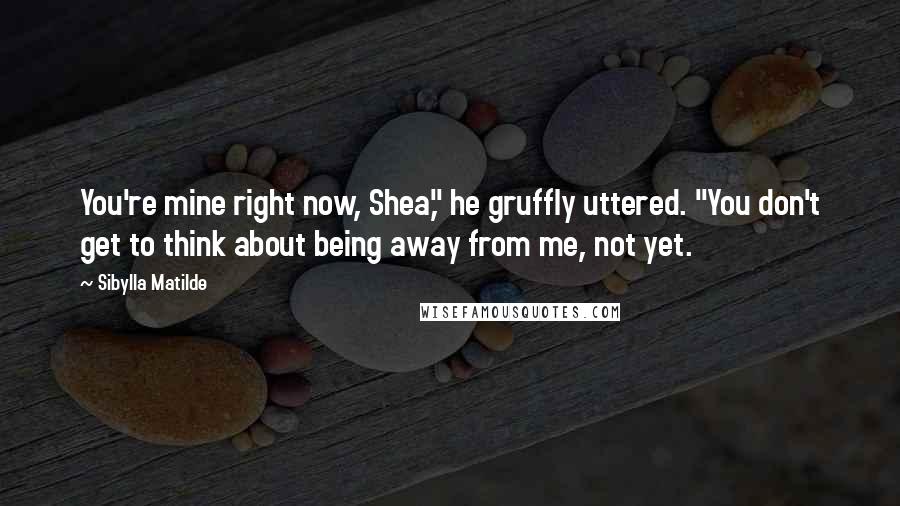 Sibylla Matilde Quotes: You're mine right now, Shea," he gruffly uttered. "You don't get to think about being away from me, not yet.