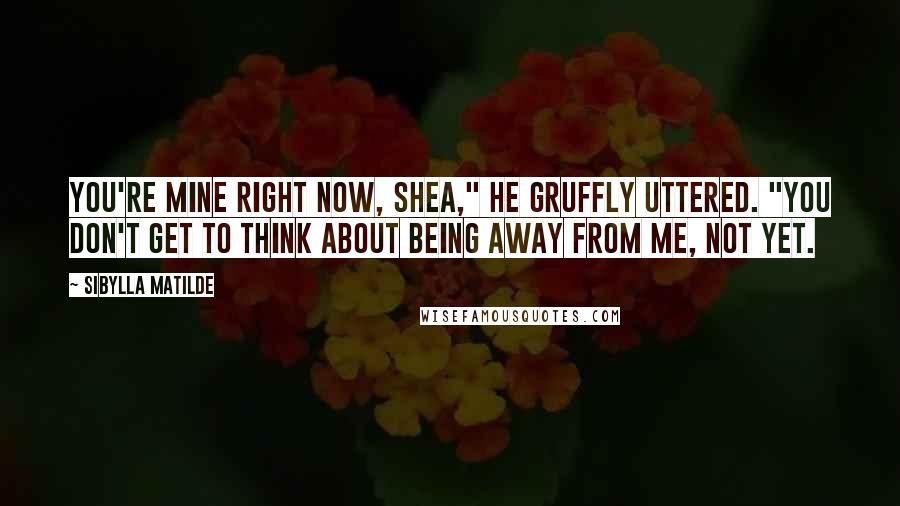 Sibylla Matilde Quotes: You're mine right now, Shea," he gruffly uttered. "You don't get to think about being away from me, not yet.