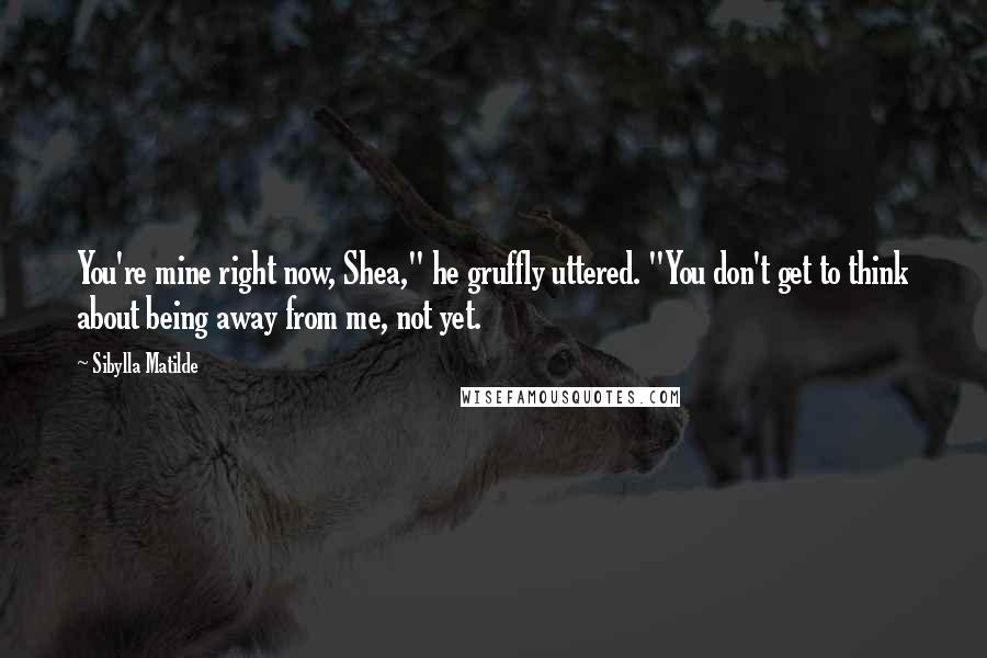 Sibylla Matilde Quotes: You're mine right now, Shea," he gruffly uttered. "You don't get to think about being away from me, not yet.