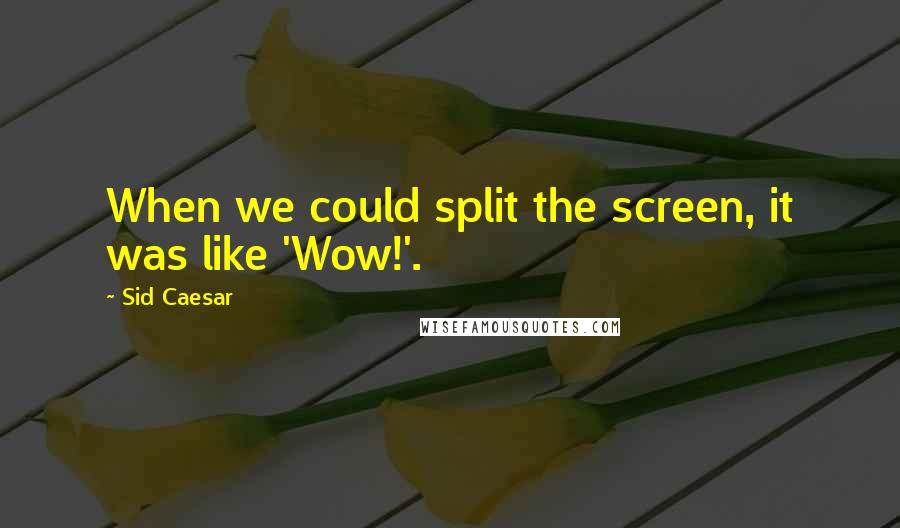 Sid Caesar Quotes: When we could split the screen, it was like 'Wow!'.